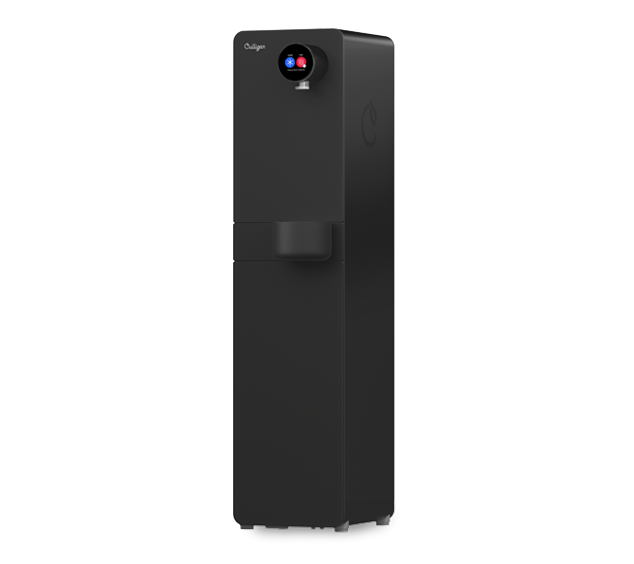 purity essential black fs