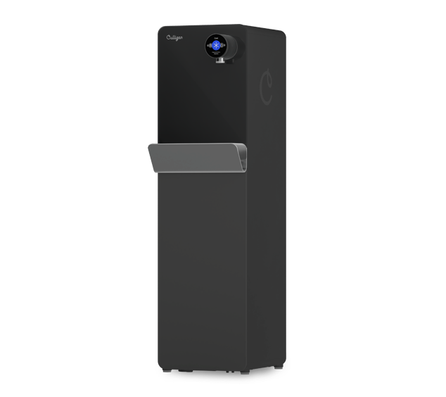 purity prime black fs